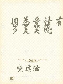 因为爱情有多美多美笑飞