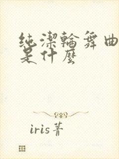 纯洁轮舞曲讲的是什么