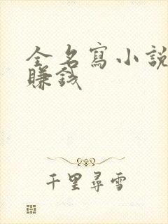 全名写小说怎么赚钱封面