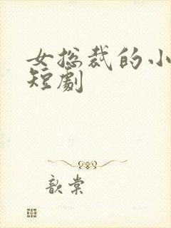 女总裁的小保安短剧