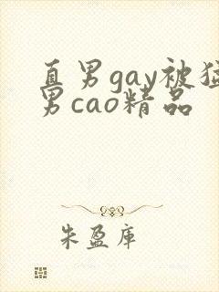 直男gay被猛男cao精品