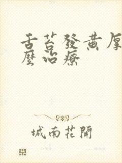 舌苔发黄厚腻怎么治疗