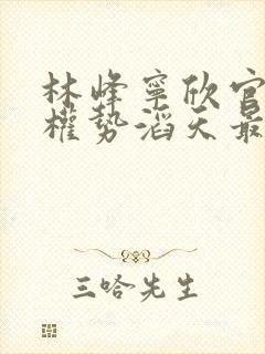 林峰宁欣官道之权势滔天最新更新章节封面