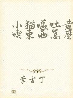 小猫呕吐黄水不吃东西怎么办要吃什么药