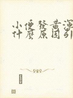 小便发黄浑浊是什么原因引起的