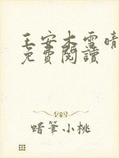 王安木雪晴小说免费阅读封面