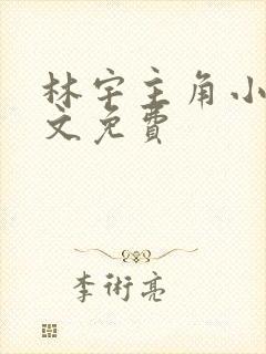 林宇主角小说全文免费