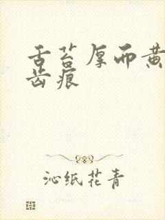 舌苔厚而黄腻有齿痕