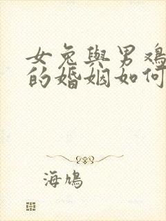 女兔与男鸡相配的婚姻如何封面