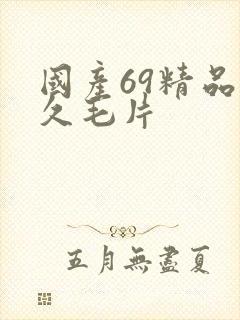 国产69精品久久毛片封面