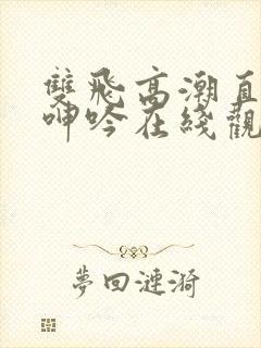 双飞高潮直喷水呻吟在线观看封面