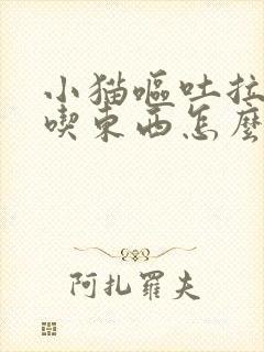 小猫呕吐拉稀不吃东西怎么办