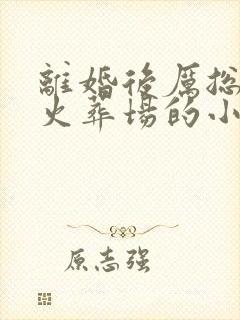 离婚后厉总追妻火葬场的小说