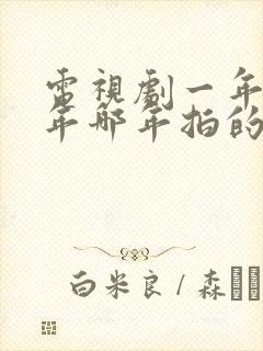 电视剧一年又一年哪年拍的