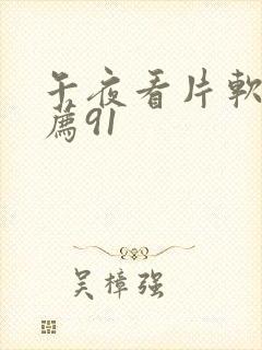 午夜看片软件推荐91