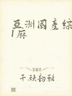 亚洲国产综合91麻