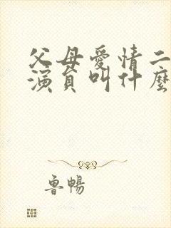 父母爱情二儿子演员叫什么封面