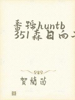 番号huntb 351森日向子