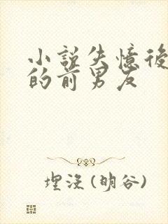 小说失忆后多了的前男友