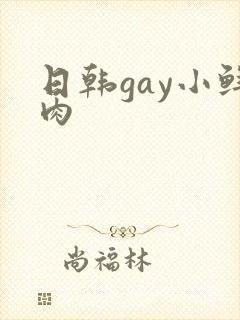 日韩gay小鲜肉封面