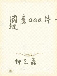 国产aaa片一级