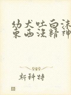 幼犬吐白沫不吃东西没精神怎么办封面