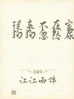 从来不在家尿的狗狗忽然尿了