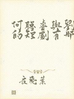 何聪睿与刘念演的短剧有哪些