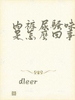 内裤尿骚味很重是怎么回事封面