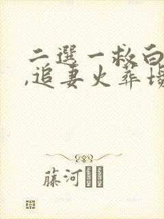 二选一救白月光,追妻火葬场小说