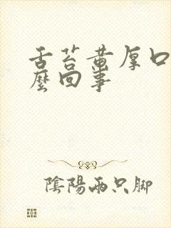 舌苔黄厚口苦怎么回事