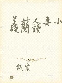 美妙人妻小说在线阅读