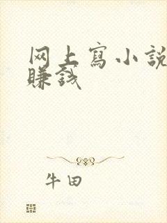 网上写小说怎么赚钱封面