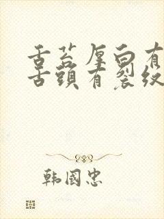 舌苔厚白有齿痕舌头有裂纹