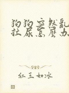 狗狗突然乱拉屎拉尿怎么办封面