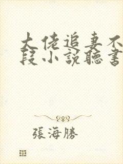 大佬追妻不择手段小说听书