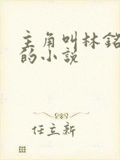 主角叫林铭陈佳的小说