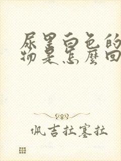 尿里白色的浑浊物是怎么回事