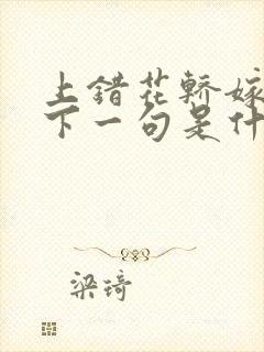 上错花轿嫁对郎下一句是什么