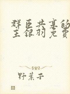 群臣共享的小公主银羽免费阅读