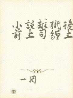 小说离职后我被前上司缠上了在线阅读