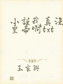 小说我真没想当皇帝啊txt