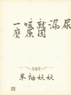 一咳就漏尿是什么原因封面