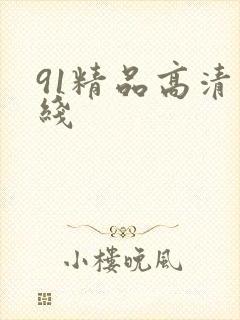91精品高清在线