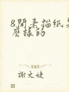 8开素描纸是什么样的