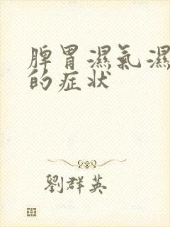 脾胃湿气湿热重的症状