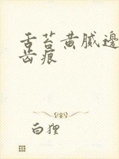 舌苔黄腻边上有齿痕