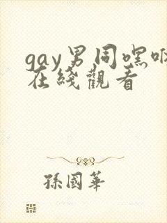 gay男同嘿咻在线观看封面