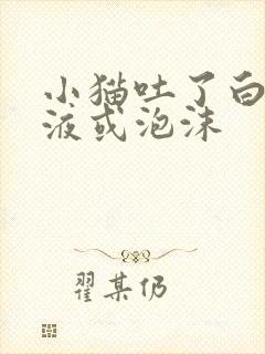 小猫吐了白色黏液或泡沫