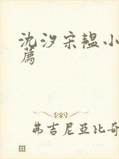 沈汐宋韫小说推荐封面